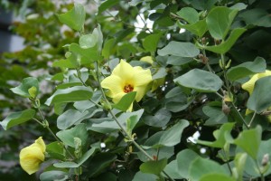 file0039
