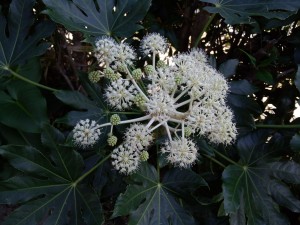 file0067