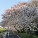 高松IMG_7706