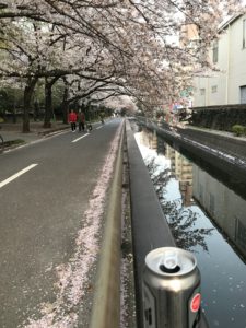 480DF2C7-4A74-408F-A9D4-0242049C2F15.jpeg