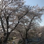 高松IMG_7696