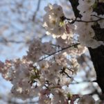 高松IMG_7707
