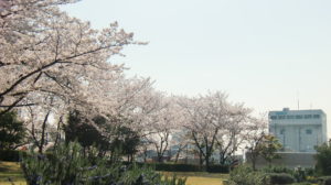 CIMG0040.JPG