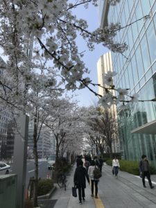 D83BC395-FF0E-4427-8606-07A7D0563972.jpeg