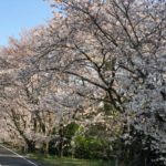 高松_IMG_7710
