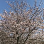 高松IMG_7683