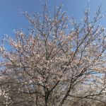 高松IMG_7682