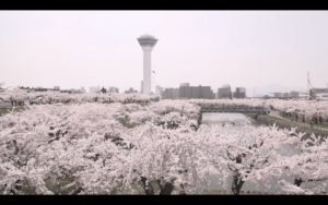 函館五稜郭.jpg