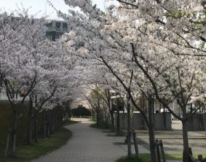 札幌.jpg
