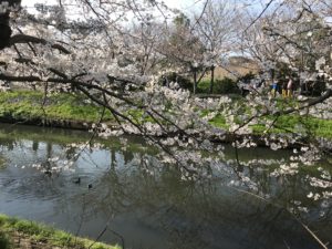 B09B5817-0803-4412-988F-72C915FED833.jpeg