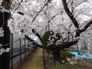 DSCN0012.JPG