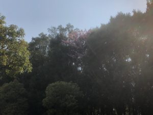 IMG_0368.JPG