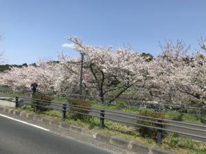 5A162F29-EB83-4752-A68F-48A66139D240.jpeg