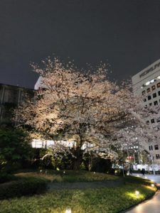 B8685574-6835-41E6-ACF7-0DE4ABD81C48.jpeg
