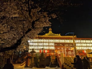 GatePhoto-1616589853.464354.jpg