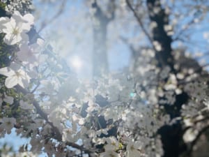 IMG_3122.jpg