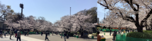 ueno210326.png