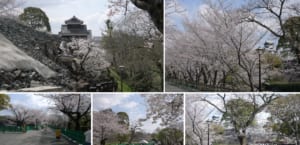 熊本城.jpg