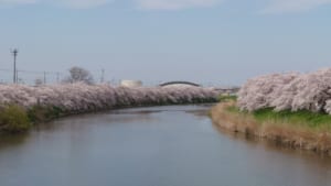 DSC_2889.JPG