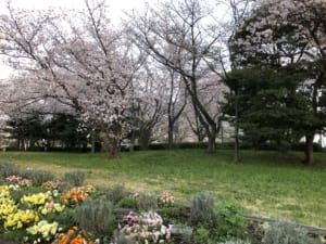 IMG_7635.jpg