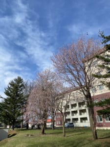 S__86237198.jpg