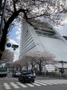 IMG_4813.JPEG