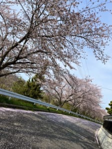 773562CA-DA82-45A5-B89E-B5C82739F904.jpeg