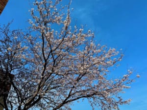 IMG_2913.JPG
