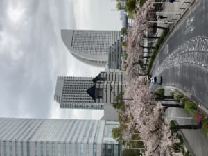 IMG_0179.JPG