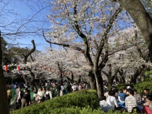 IMG_5973.jpeg